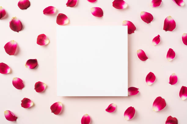 istock top view of red rose petal with white square card 1139632961