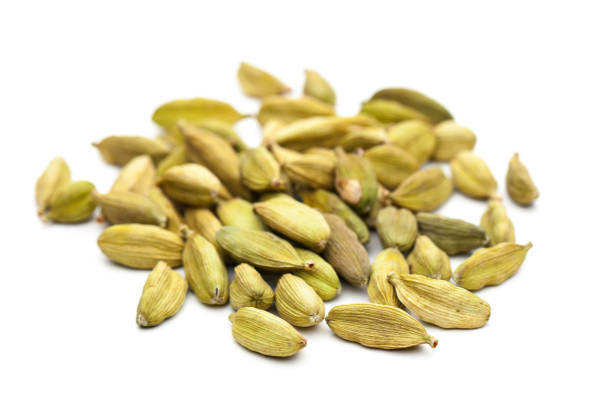 cardamom seeds isolated on white background - cardamom spice indian culture isolated imagens e fotografias de stock