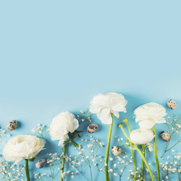 istock Happy easter card with white flowers on blue background 1139637812