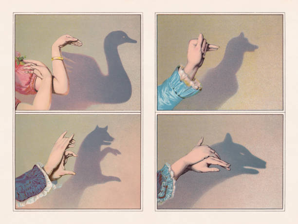 Hand shadow puppets: swan, bear, greyhound, wolf, chromolithograph, published 1888 Hand shadow puppets: swan, bear, greyhound, and wolf. Chromolithographs after drawings, published in 1888. history illustrations stock illustrations