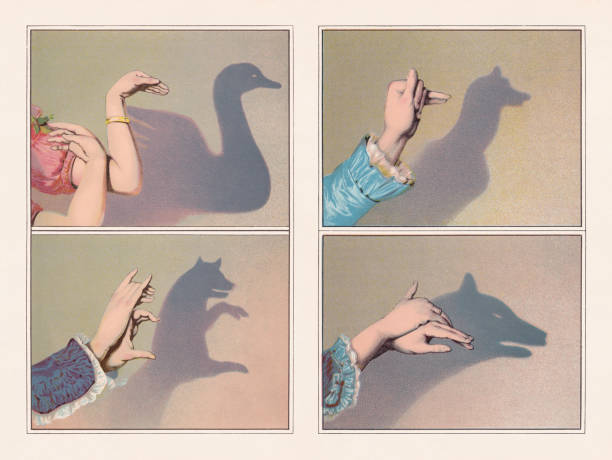 Hand shadow puppets: swan, bear, greyhound, wolf, chromolithograph, published 1888 Hand shadow puppets: swan, bear, greyhound, and wolf. Chromolithographs after drawings, published in 1888. puppet stock illustrations