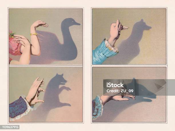 Hand Shadow Puppets Swan Bear Greyhound Wolf Chromolithograph Published 1888 Stock Illustration - Download Image Now