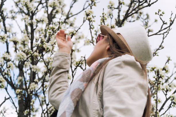 pretty woman near a blooming tree flowers, solo traveler at sunset, one young woman tourist enjoying the sunset light and the blossoming flowers, portrait, back lit, travel, exploration, adventure, tourism, outdoors, springtime, - back lit women one person spring imagens e fotografias de stock