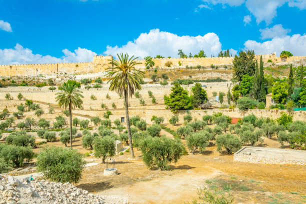 istock Fortification of Jerusalem, Israel 1139644580