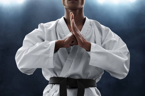Martial arts fighter Martial arts fighter martial arts stock pictures, royalty-free photos & images