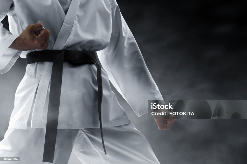 Martial arts fighter Karate Stock Photo
