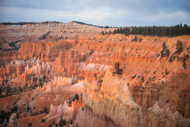 istock Bryce Canyon national Park Environment 1139654707