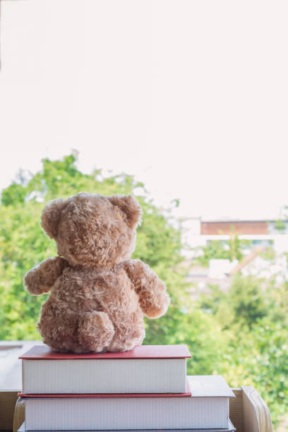 istock A brown teddy bear sitting on  pile book. 1139654907