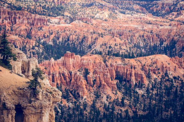 istock Bryce Canyon national Park Environment 1139655434