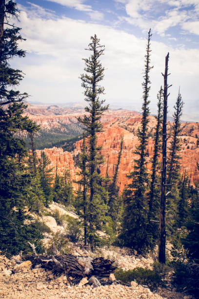 Bryce Canyon American National Park Environment
