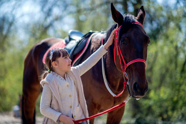 istock Young girl with horse in forest 1139657550