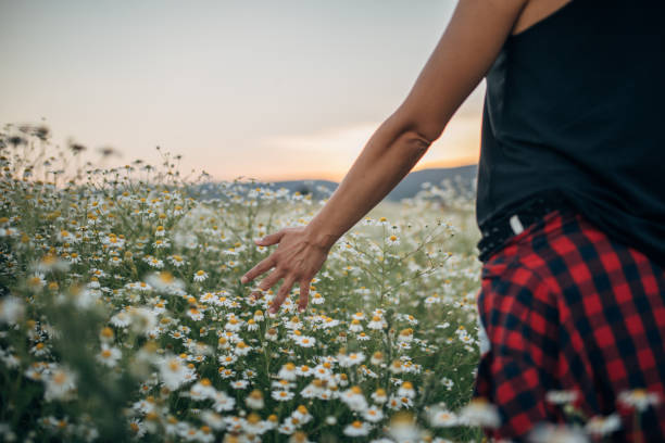 istock Woman touching nature 1139661194