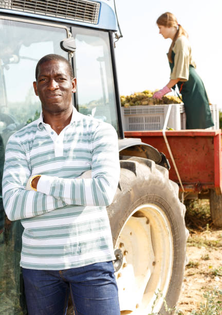 istock Worker posing near tractor at vineyard 1139664500