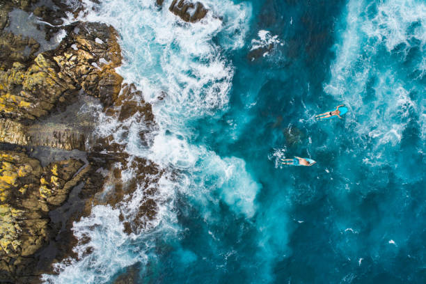 luftaufnahme der surfer auf ihren surfbrettern. - sea high angle view water tranquil scene stock-fotos und bilder