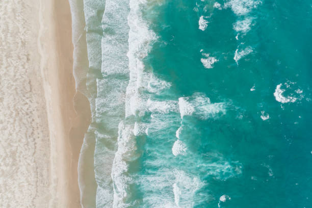 fondo de playa. - sand beach sea wave fotografías e imágenes de stock