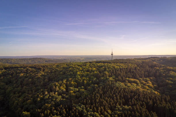 Mixed tree forrest covering hills in the Eifel region in West Germany with setting sunlight
