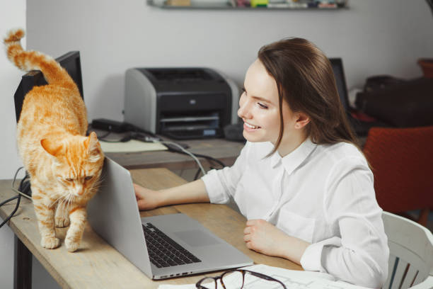 istock Woman working at computer, her favourite cat walking behind notebook 1139667227