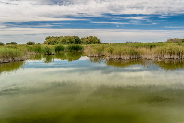 istock Lake in National Park Tablas de Daimiel. Ciudad Real. Spain. 1139669245