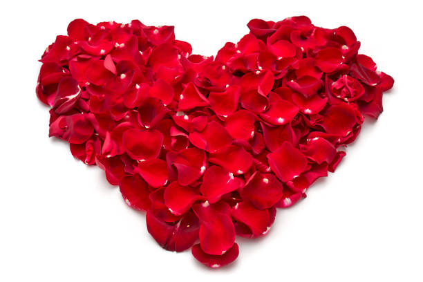 istock Heart of petals 1139669834