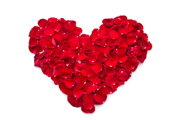 istock Heart of petals 1139670374