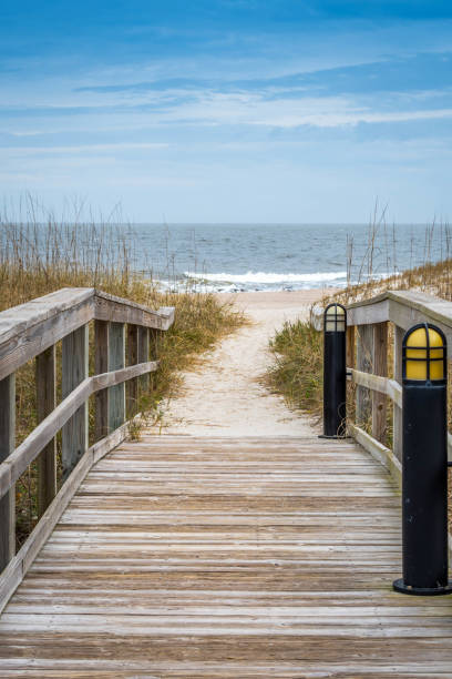 istock A very long boardwalk surrounded by shrubs in Amelia Island, Florida 1139673092