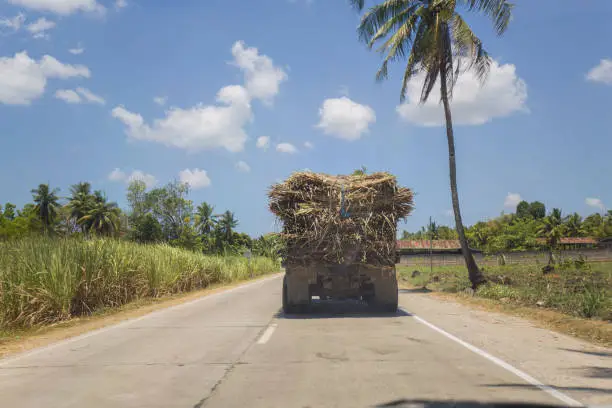 a philippine rural scene