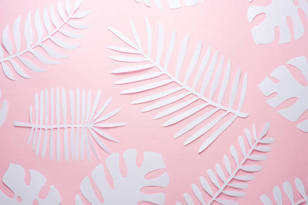 istock Tropical leaf pattern. Various paper leaves on a pastel background. art. Flat lay, top view. Background on pink 1139676103
