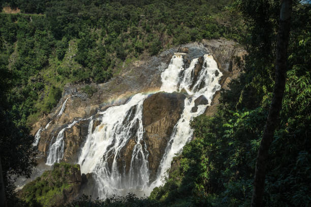 istock Giant waterfall in a rainforest in Australia 1139678503
