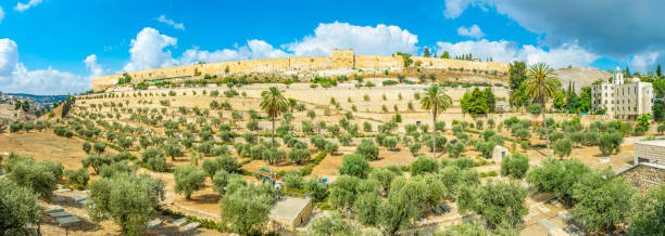 jerusalem viewed from the mount of olives, israel - temple mound imagens e fotografias de stock