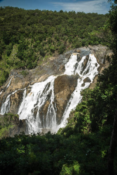 istock Giant waterfall in a rainforest in Australia 1139678540