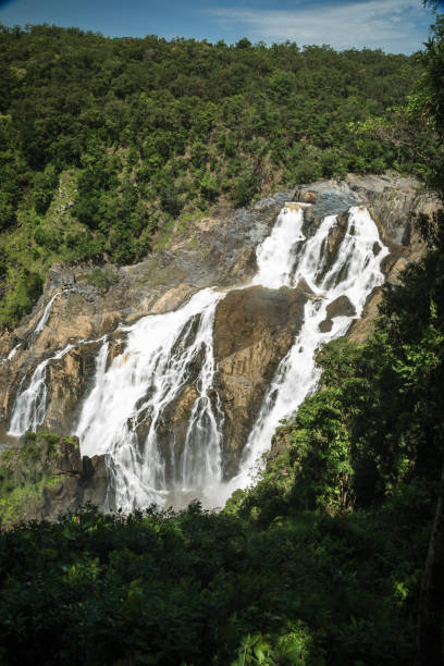 istock Giant waterfall in a rainforest in Australia 1139679077
