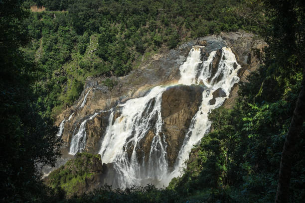 istock Giant waterfall in a rainforest in Australia 1139680616