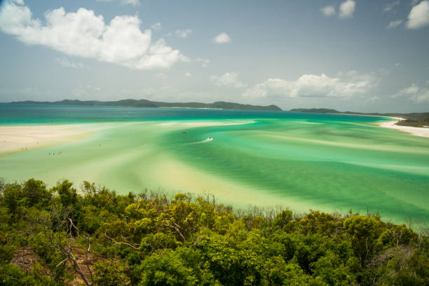 istock whitsunday island Australia 1139680826
