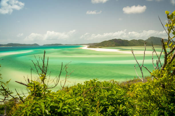 istock whitsunday island Australia 1139681073