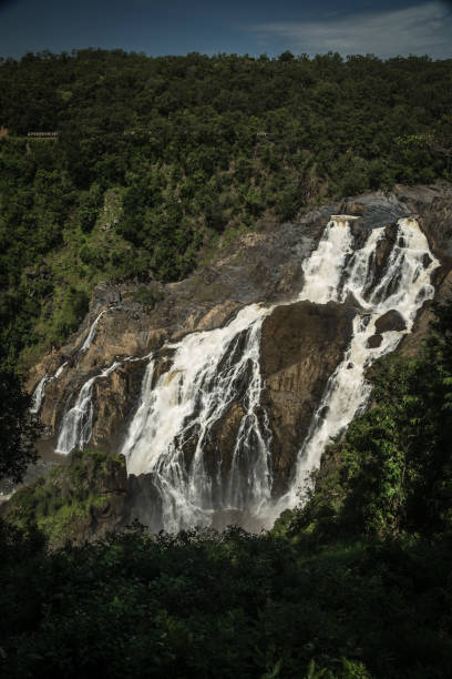 istock Giant waterfall in a rainforest in Australia 1139684226