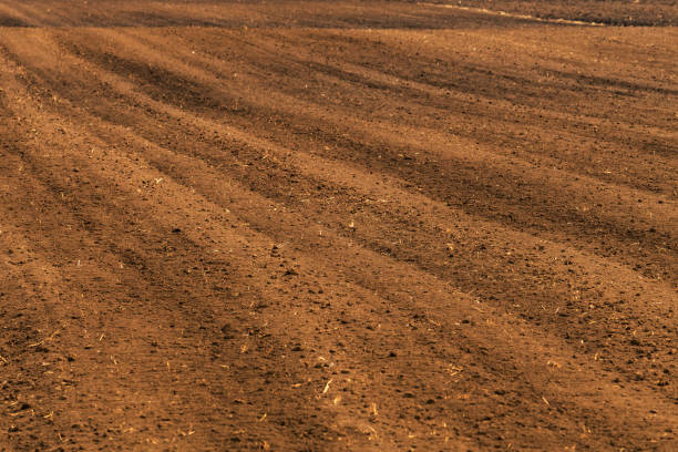 istock Plowed land ready for sowing season 1139685012