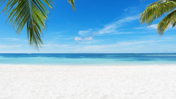 istock Tropical paradise beach copy space scene 1139685157