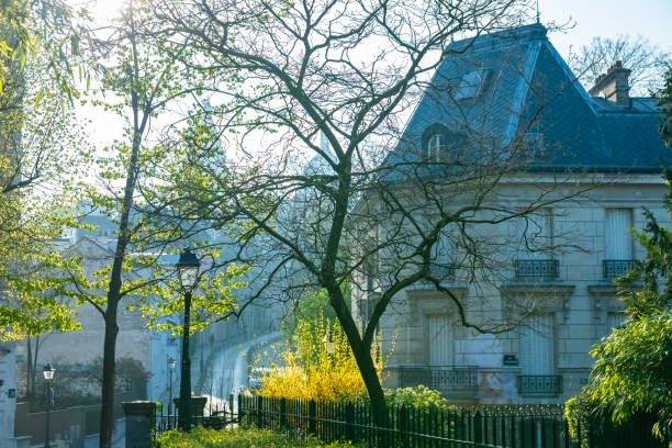 Montmartre, a very romantic parisian street with a vintage lamppost, sunrise, the Sacre-Coeur basilica in background