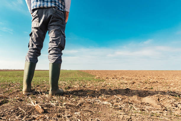 istock Farmer planning agricultural activity in field 1139687122