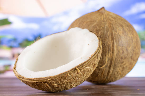 Fresh bio coconut on vocation