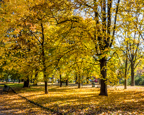 Giardini Indro Montanelli in the center of Milan during autumn