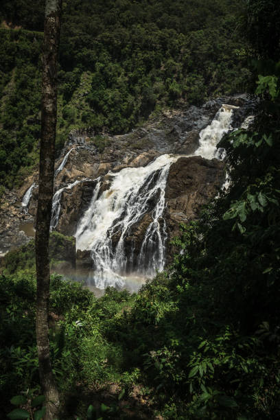 istock Giant waterfall in a rainforest in Australia 1139689069