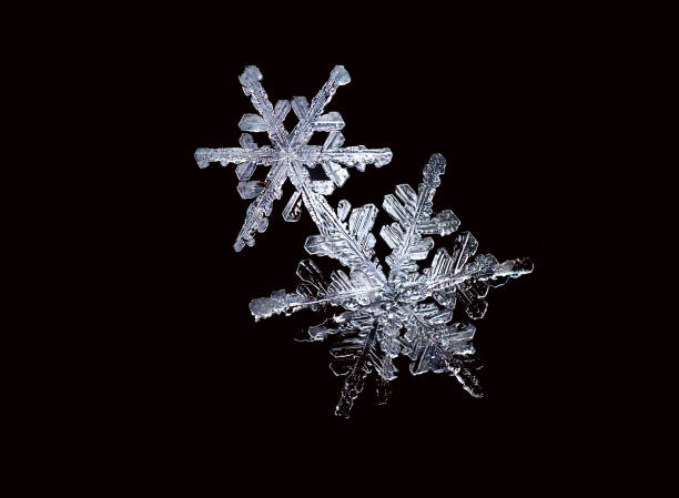 Two Snowflakes - Macro Two snowflakes on a black background symmetry photos stock pictures, royalty-free photos & images