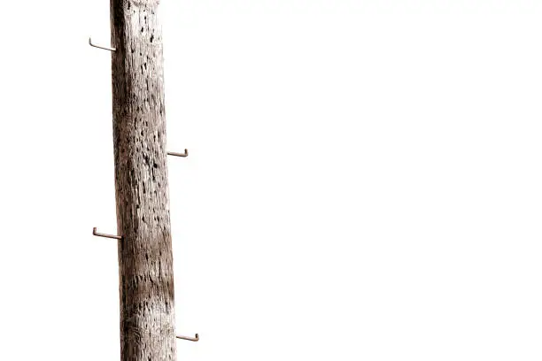 telephone pole midsection with climbing spikes