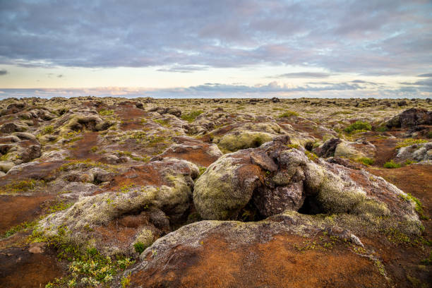 istock Iceland - landscape full of moss 1139698142
