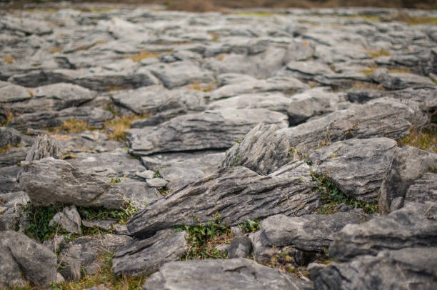 muros de piedra a lo largo de la ruta wild atlantic way, ballyvaughan, condado de clare, irlanda. - county clare the burren ballyvaughan stone fotografías e imágenes de stock