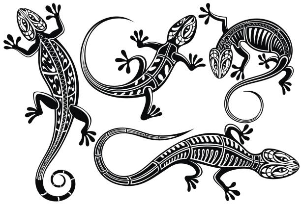 illustrations, cliparts, dessins animés et icônes de lézards - salamandre