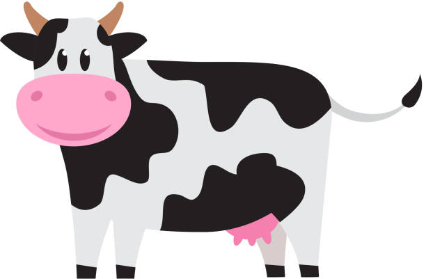 ilustrações, clipart, desenhos animados e ícones de vaca bonito branca com pontos pretos. - fêmea de mamífero