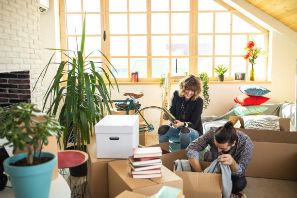 Married couple packing stuffs in boxes Young cheerful Couple packing cardboard boxes together during moving  house arrangement stock pictures, royalty-free photos & images