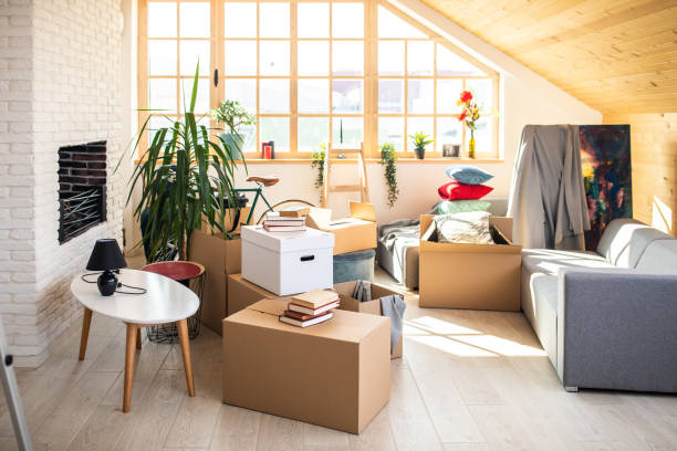 Packed Cardboard boxes in apartment, ladder, plants and other stuffs